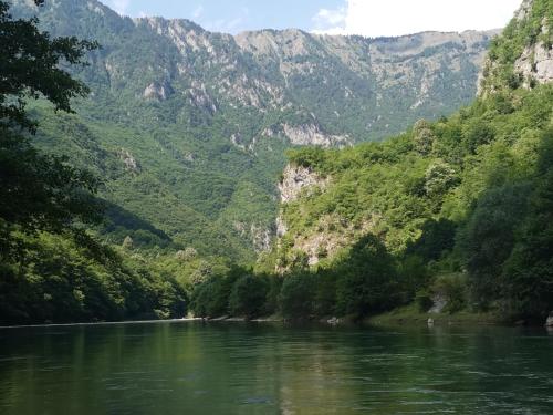 Ethno Cottage Momo Tepca in Kolasin Ethno Cottage Momo Tepca in Kolasin