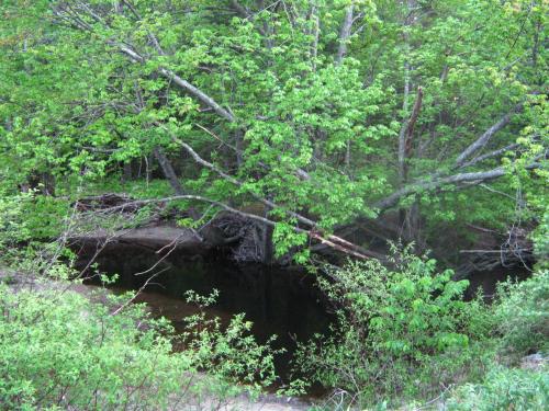 SUMMER BROOK Arundel Kennebunkport Maine Campsite RV Provided Note This is a private campsite and no in Arundel SUMMER BROOK Arundel Kennebunkport Maine Campsite RV Provided Note This is a private campsite and no in Arundel