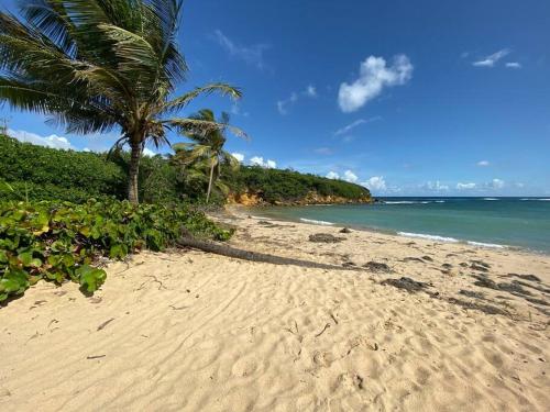 Villa Ideal, Ocean View Beachfront Community with pool in Vega Alta Villa Ideal, Ocean View Beachfront Community with pool in Vega Alta