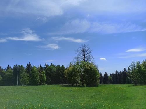 apartman Lunik in Svratka apartman Lunik in Svratka