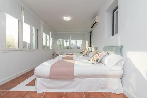 iloftmalaga Villa Niza