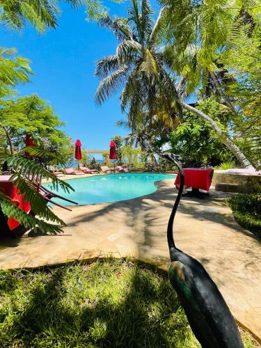 Bassein, Ifaty Beach Club Resort in Ifaty Bassein, Ifaty Beach Club Resort in Ifaty