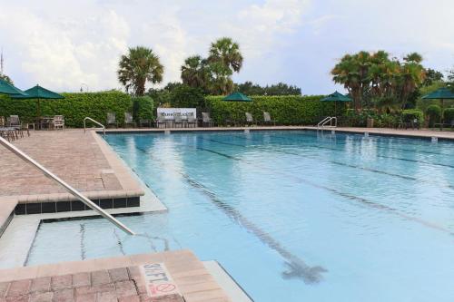 Swimming pool, Arnold Palmers Bay Hill Club and Lodge - Adults Only in South West Swimming pool, Arnold Palmers Bay Hill Club and Lodge - Adults Only in South West