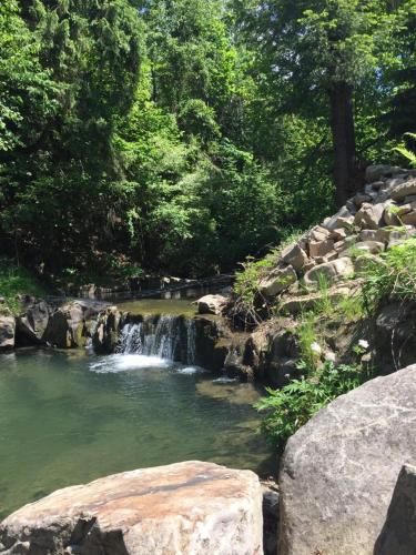 Chatka z sauną nad rzeką (Chatka z sauna nad rzeka) in Cisiec Chatka z sauną nad rzeką (Chatka z sauna nad rzeka) in Cisiec