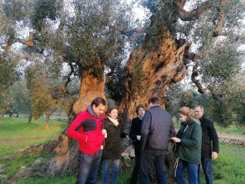Agriturismo Salinola in ออสตูนี่ Agriturismo Salinola in ออสตูนี่