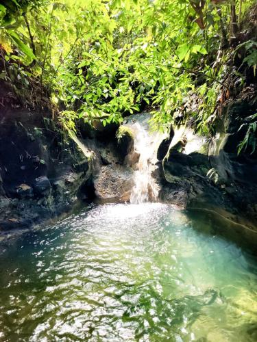 周邊環境, Ecoscape Jamaica - Lavish 1-br cottage by the river in 聖安灣 周邊環境, Ecoscape Jamaica - Lavish 1-br cottage by the river in 聖安灣