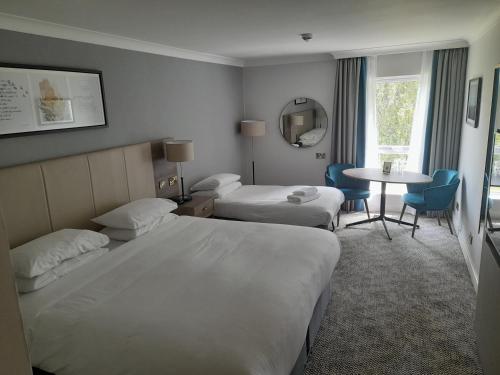 Guestroom, Eastwood Hall in Nottingham Guestroom, Eastwood Hall in Nottingham