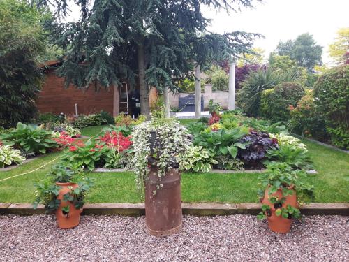 cabin set in a beautiful romantic tropical garden in Sutton Coldfield cabin set in a beautiful romantic tropical garden in Sutton Coldfield