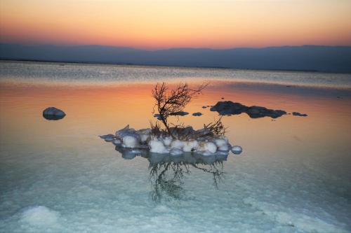 במיוחד בשבילך צימר ערד in Hatsavim במיוחד בשבילך צימר ערד in Hatsavim