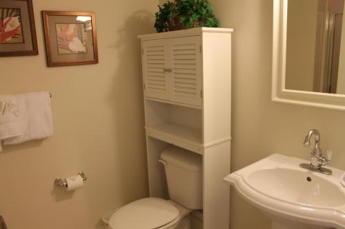 在meiguo.com看到的Waterscape Condominiums的介绍图片