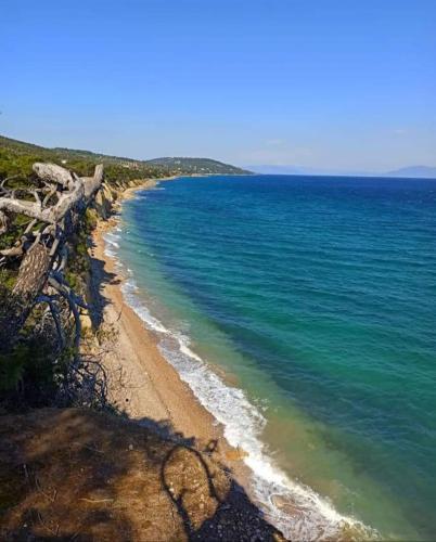 Beach, Apartment in Theologos in Theologos (Fthiotis) Beach, Apartment in Theologos in Theologos (Fthiotis)