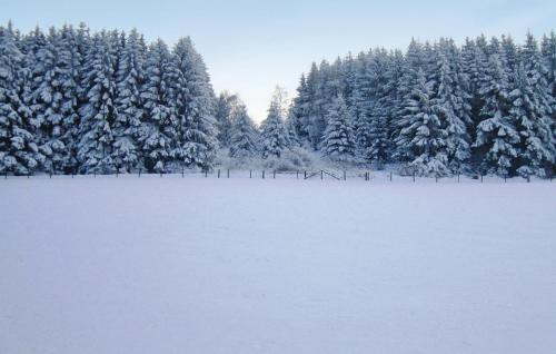 Зручності, Beautiful apartment in Brilon-Scharfenberg with 3 Bedrooms and WiFi in Brilon Зручності, Beautiful apartment in Brilon-Scharfenberg with 3 Bedrooms and WiFi in Brilon
