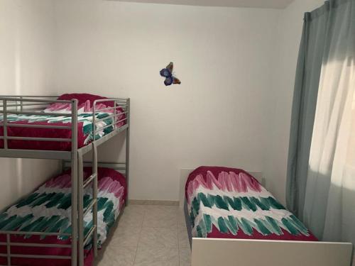 TRES habitaciones privadas 4huéspedes 4huéspedes 2huéspedes piso a compartir (TRES habitaciones privadas 4huespedes 4huespedes 2huespedes piso a compartir) in 拉古娜 TRES habitaciones privadas 4huéspedes 4huéspedes 2huéspedes piso a compartir (TRES habitaciones privadas 4huespedes 4huespedes 2huespedes piso a compartir) in 拉古娜