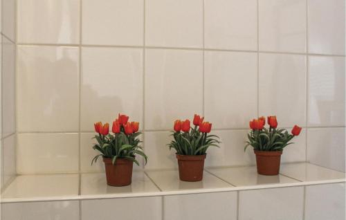 Bathroom, Holiday home Bunschoten VIII in Bunschoten Bathroom, Holiday home Bunschoten VIII in Bunschoten