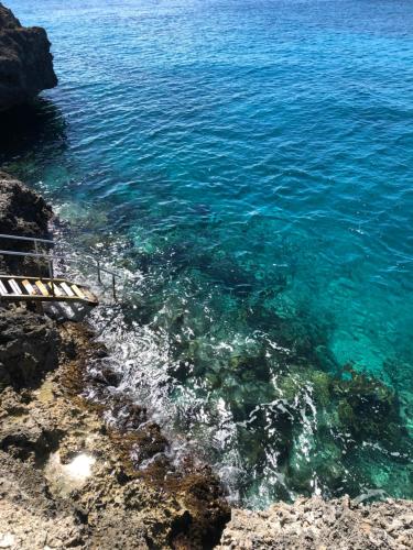 Marazul Dive Resort. 3 Bedroom Seafront House. Dive, Snorkel, enjoy amazing sunsets in ווסטפונט Marazul Dive Resort. 3 Bedroom Seafront House. Dive, Snorkel, enjoy amazing sunsets in ווסטפונט