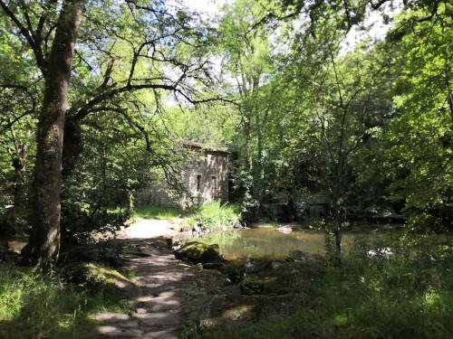 La Mésange (La Mesange) in Saint Laurent Sur Sevre La Mésange (La Mesange) in Saint Laurent Sur Sevre