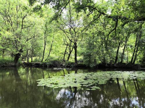 La Mésange (La Mesange) in Saint Laurent Sur Sevre La Mésange (La Mesange) in Saint Laurent Sur Sevre