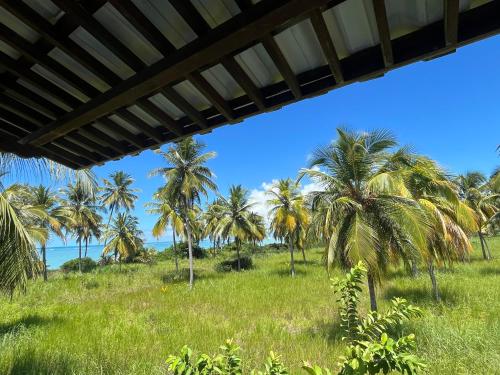Casa Praia Patacho in Porto De Pedras Casa Praia Patacho in Porto De Pedras