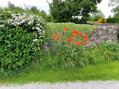 Garden, Deveron Valley Cottages in Aberchirder Garden, Deveron Valley Cottages in Aberchirder