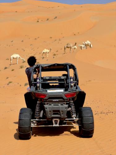 Liwa Nights ليالي ليوا in Madinat Zayid Liwa Nights ليالي ليوا in Madinat Zayid