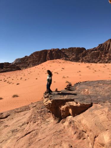 All inclusive - 5 days guided Tours & Accommodation & Meals - Wadi Rum Experience with Firefly Journ in ワディ ラム All inclusive - 5 days guided Tours & Accommodation & Meals - Wadi Rum Experience with Firefly Journ in ワディ ラム
