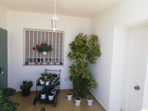 Casa independiente en San de los Terreros Con estupenda terraza, a dos minutos a pie de las playas M in ซานควนเดโลสเตร์เรโรส Casa independiente en San de los Terreros Con estupenda terraza, a dos minutos a pie de las playas M in ซานควนเดโลสเตร์เรโรส