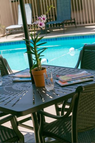 This photo about La Jolla Riviera Inn shared on HyHotel.com