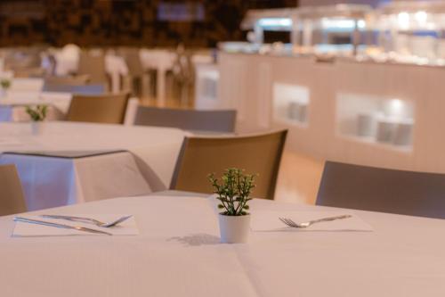 Comida y bebida, Hotel-Apartamentos Sol Parc in Menorca Comida y bebida, Hotel-Apartamentos Sol Parc in Menorca