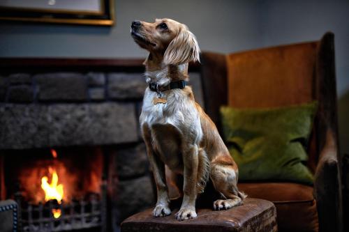 Loch Fyne Hotel & Spa in Saint Catherines Loch Fyne Hotel & Spa in Saint Catherines