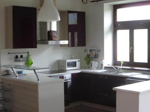 廚房, Rodinný penzion Jimramovské Pavlovice až 24 osob! (Rodinny penzion Jimramovske Pavlovice az 24 osob!) in 斯奈茲內 廚房, Rodinný penzion Jimramovské Pavlovice až 24 osob! (Rodinny penzion Jimramovske Pavlovice az 24 osob!) in 斯奈茲內