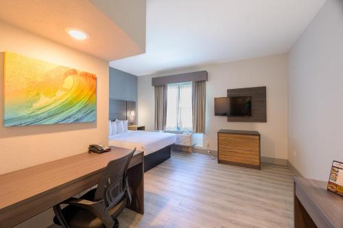 Wyposażenie, Hawthorn Extended Stay by Wyndham Panama City Beach in Panama City (Floryda) Wyposażenie, Hawthorn Extended Stay by Wyndham Panama City Beach in Panama City (Floryda)