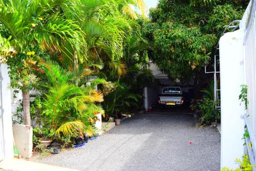 Mauri holidays 'Budgeted Apartment' in La Gaulette Mauri holidays 'Budgeted Apartment' in La Gaulette