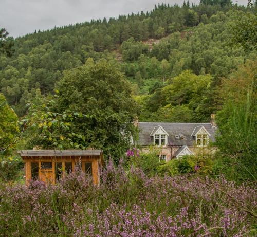 Caledonian Glamping in Tomich Caledonian Glamping in Tomich