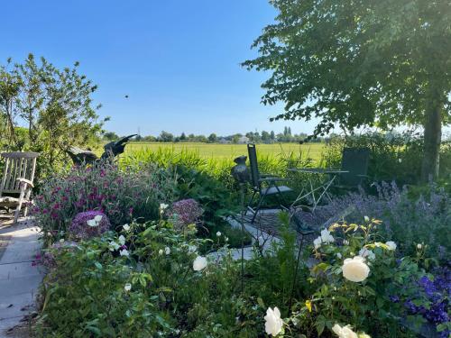 Hestar Husid, het luxe paardenhuis in Weesp Hestar Husid, het luxe paardenhuis in Weesp