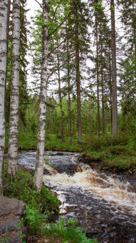 Venejoen Piilo - Kuohu in Kontiolahti Venejoen Piilo - Kuohu in Kontiolahti