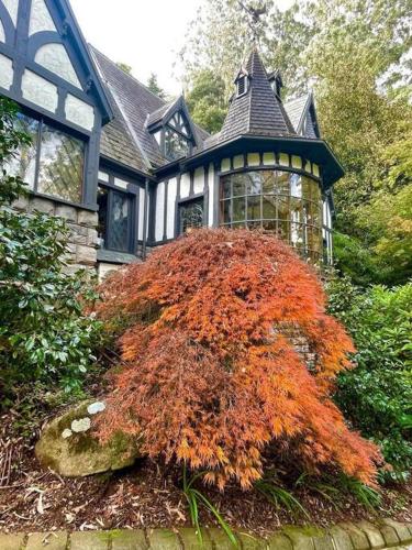 Fernhill Estate “ Gingerbread House” in 卡利斯塔 Fernhill Estate “ Gingerbread House” in 卡利斯塔