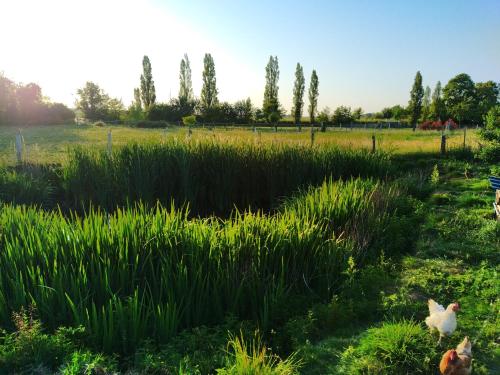 Surrounding environment, O'bon'Eure in Beaumontel Surrounding environment, O'bon'Eure in Beaumontel