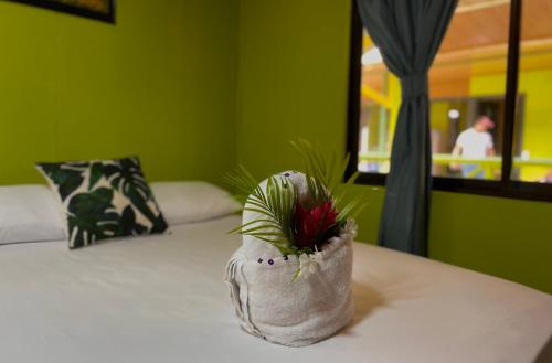 Hotel El Icaco Tortuguero in Tortuguero Hotel El Icaco Tortuguero in Tortuguero