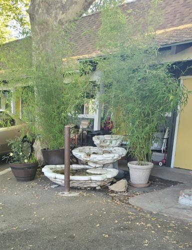 Εξωτερική όψη, Sonora Gold Lodge in Σονόρα(Καλιφόρνια) Εξωτερική όψη, Sonora Gold Lodge in Σονόρα(Καλιφόρνια)