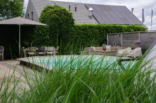 Swimming pool, Bed and Breakfast Bedstay op 8 in Coevorden Swimming pool, Bed and Breakfast Bedstay op 8 in Coevorden