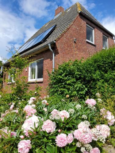 Exterior view, Ferienhof und Reittherapie Deichwind - Nordfriesland - 2 Hauser in Hattstedtermarsch Exterior view, Ferienhof und Reittherapie Deichwind - Nordfriesland - 2 Hauser in Hattstedtermarsch