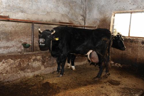 This photo about Agriturismo Serafina shared on HyHotel.com