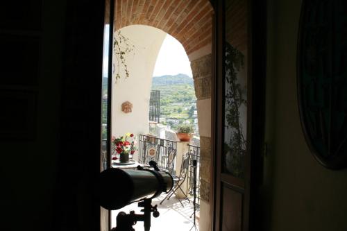 This photo about Dorothy Grace shared on HyHotel.com