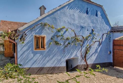Viscri 32 - White Barn and Blue House in Viscri Viscri 32 - White Barn and Blue House in Viscri