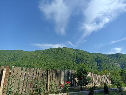 Green Garden in Ijevan Green Garden in Ijevan
