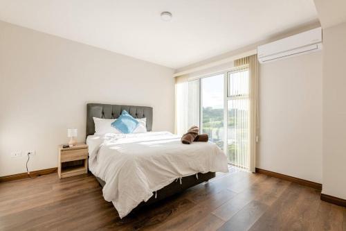 New & Modern APT - 100 MBPS 15 min from airport in Uruca New & Modern APT - 100 MBPS 15 min from airport in Uruca