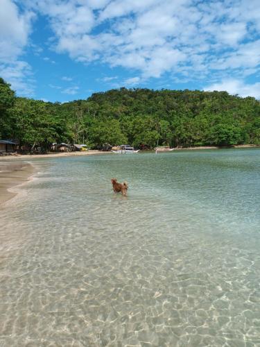 Beach, Tupi's Beachfront Home 2BR near Nagtabon Beach Beach, Tupi's Beachfront Home 2BR near Nagtabon Beach