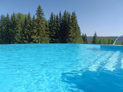 Swimming pool, Erzgebirgsidyll Breitenbrunn Ferienwohnung in Breitenbrunn/Erzgeb. Swimming pool, Erzgebirgsidyll Breitenbrunn Ferienwohnung in Breitenbrunn/Erzgeb.
