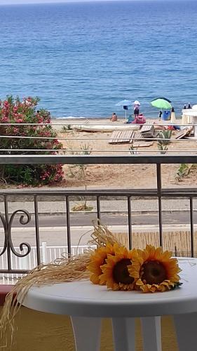 منظر, Casa Vacanza Alice & Mari in آسكي مارينا منظر, Casa Vacanza Alice & Mari in آسكي مارينا