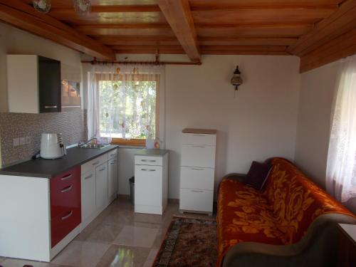 ApartmaVid in Kostanjevica Na Krki ApartmaVid in Kostanjevica Na Krki